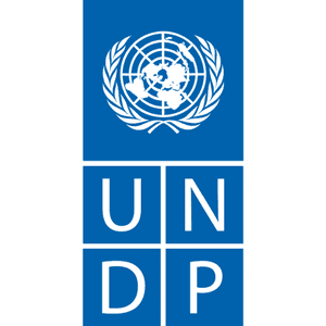 UNDP-mobile-application-development-company